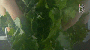 【面皮】1.鍋中水開(kāi)時(shí)，放挑揀好的艾草和一撮小蘇打，第一遍煮開(kāi)后倒掉，重新加水大火煮開(kāi)后，小火煮1小時(shí)。煮爛的艾草用紗布瀝干。